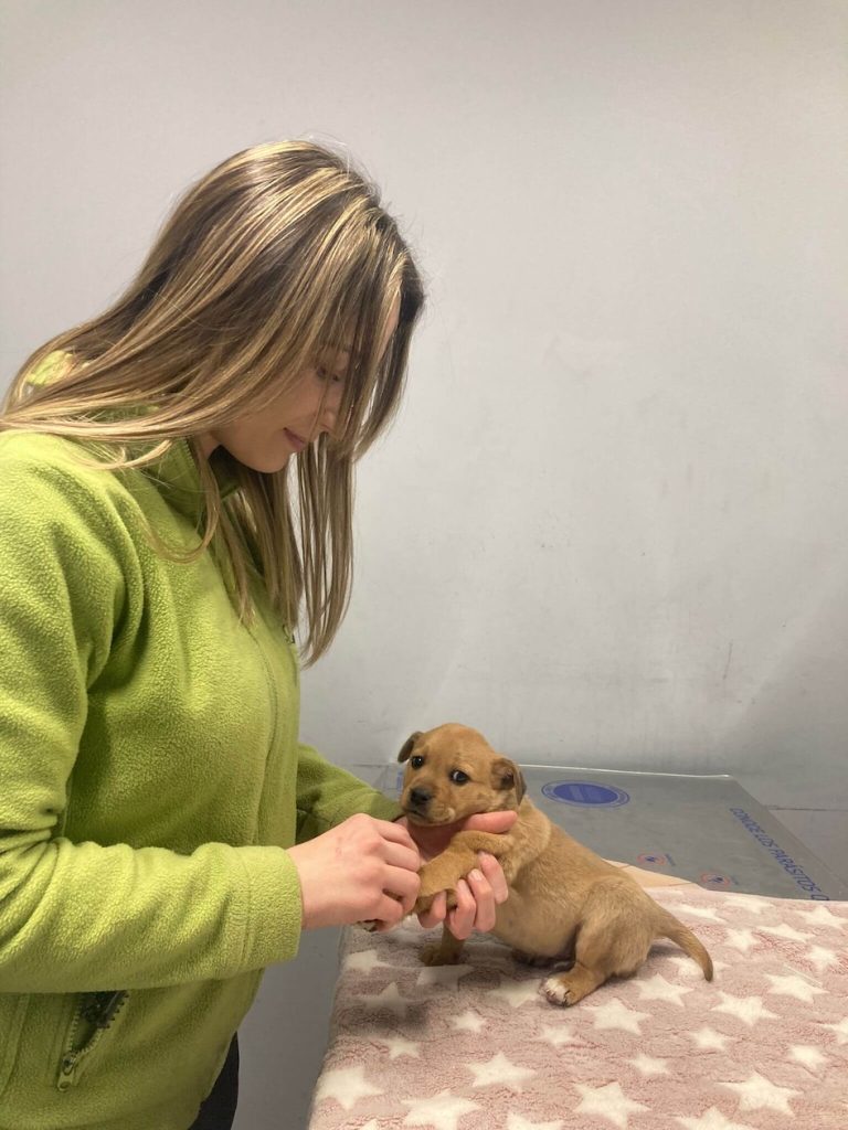 patricia-auxiliar-veterinaria-ponferrada